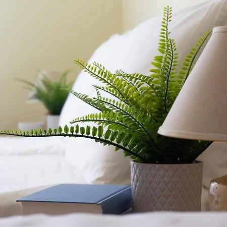 Omar's House アパート *