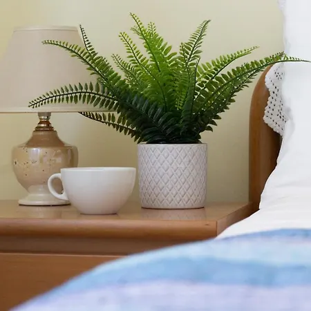 Omar's House ラッパロ