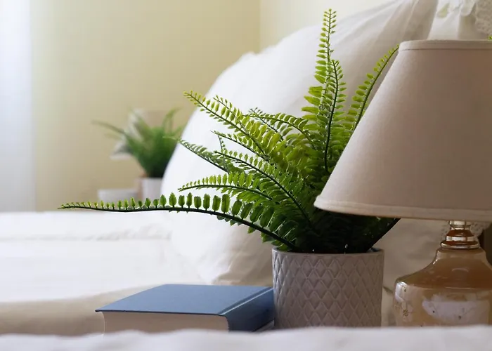 Omar's House Apartment *